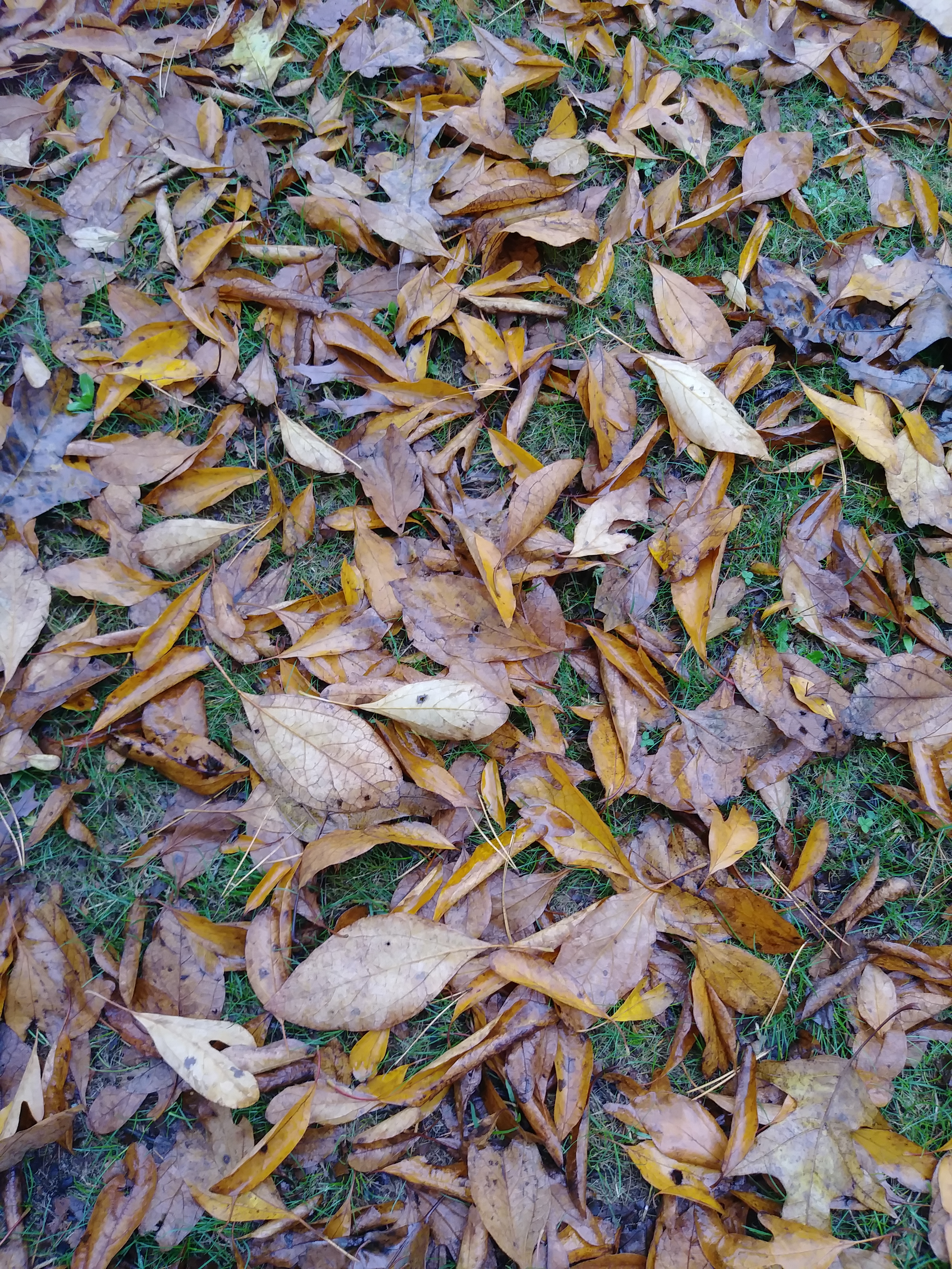 Motivation for Caregivers….Quote #18