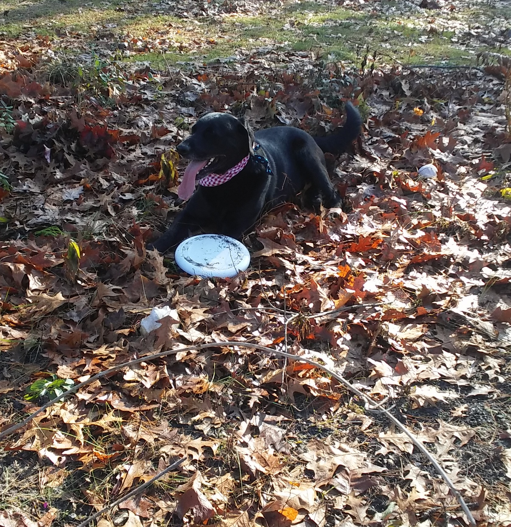 Motivation for Caregivers….Quote #22