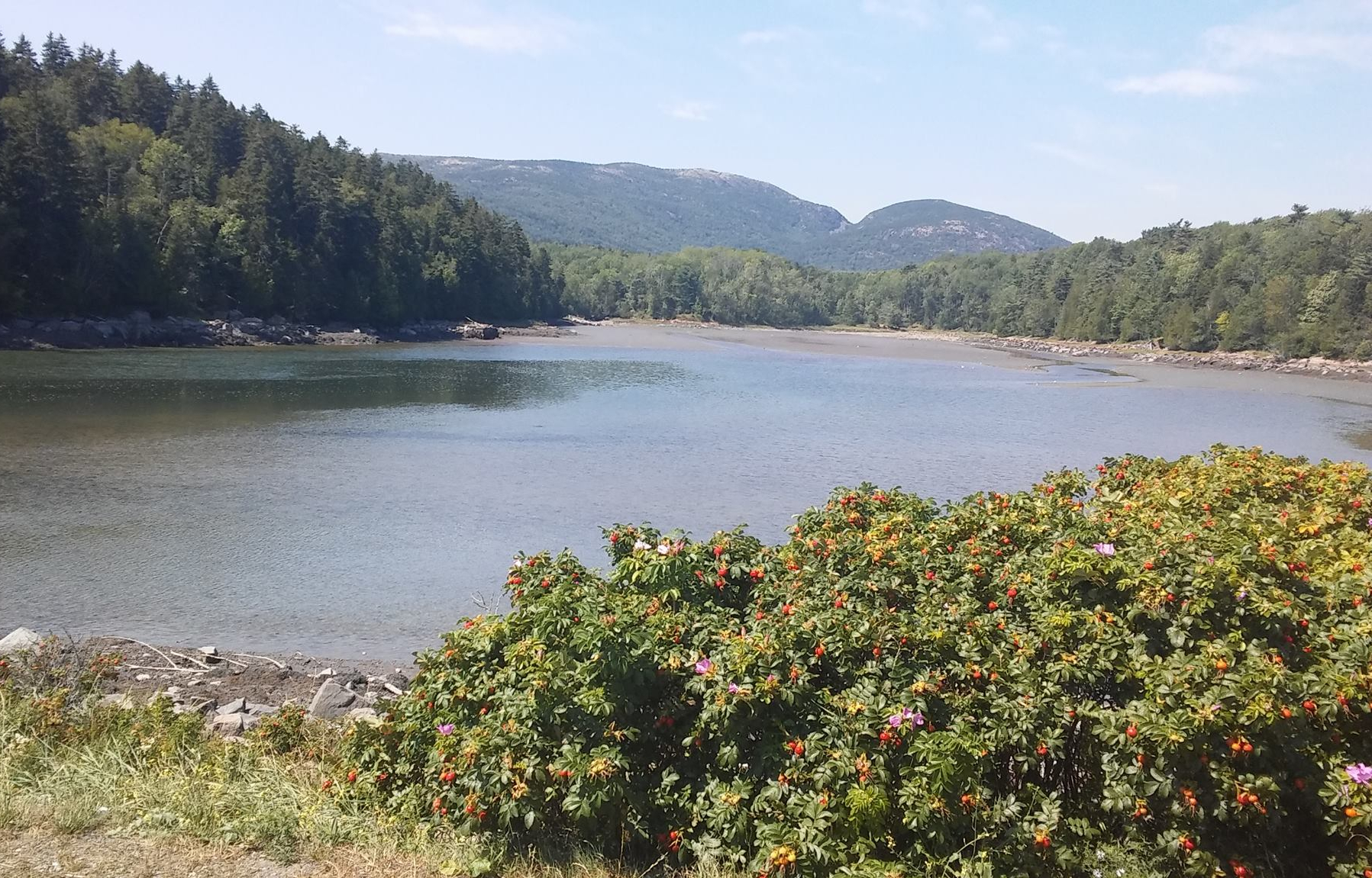 Motivation for Caregivers….Quote #23